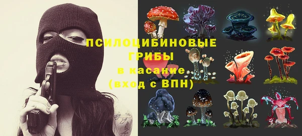 соль курить ск Бородино