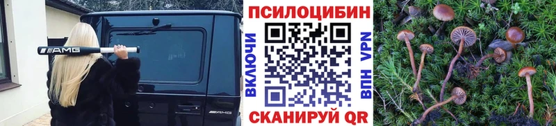 Купить  Новоаннинский  Псилоцибиновые грибы Magic Shrooms 